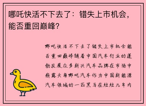哪吒快活不下去了：错失上市机会，能否重回巅峰？