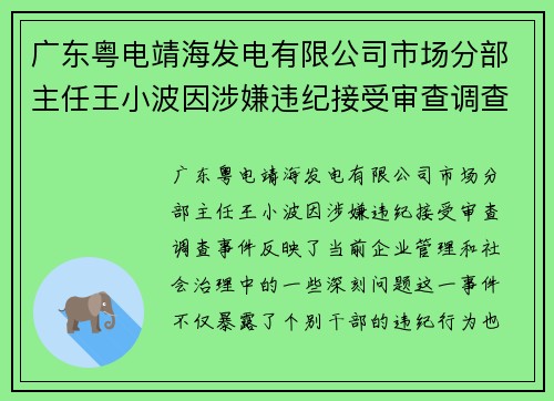 广东粤电靖海发电有限公司市场分部主任王小波因涉嫌违纪接受审查调查