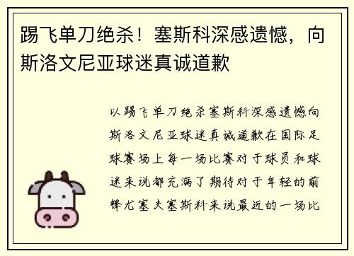 踢飞单刀绝杀！塞斯科深感遗憾，向斯洛文尼亚球迷真诚道歉