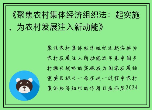 《聚焦农村集体经济组织法：起实施，为农村发展注入新动能》
