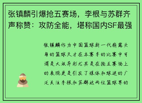 张镇麟引爆抢五赛场，李根与苏群齐声称赞：攻防全能，堪称国内SF最强